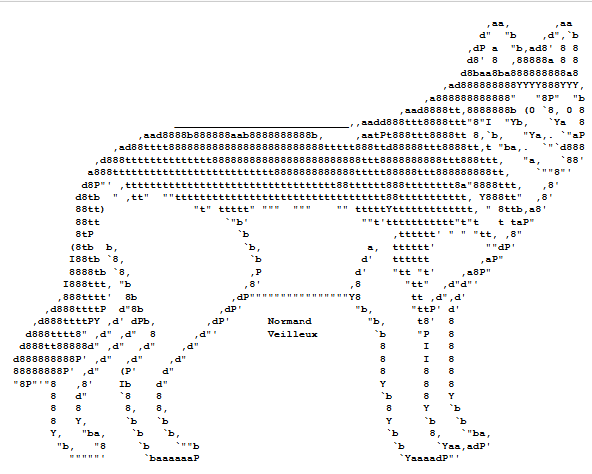 ASCII Art